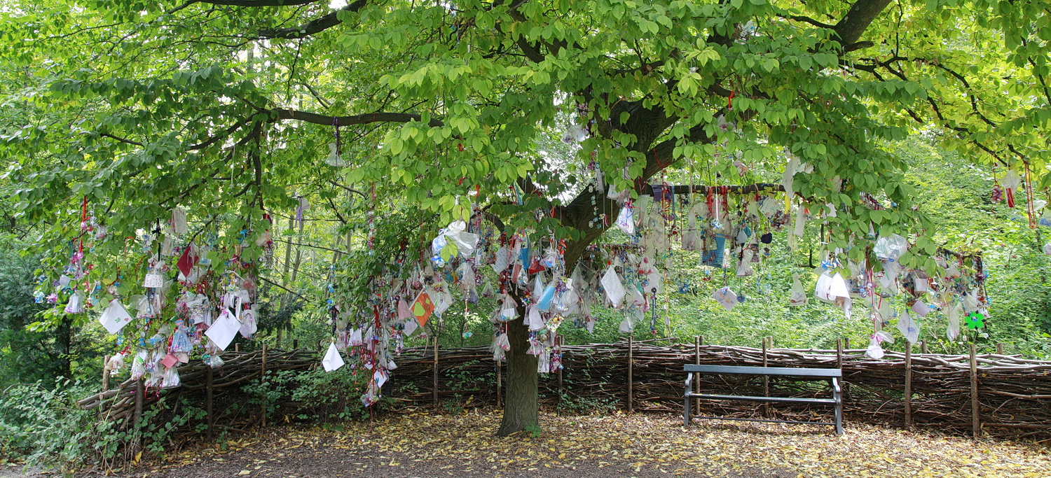 The Pacifier Tree